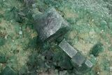 Green Fluorescent Cubic Fluorite Crystals - Madagascar #361317-1